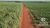 Fazenda, 542 hectares - Foto 3