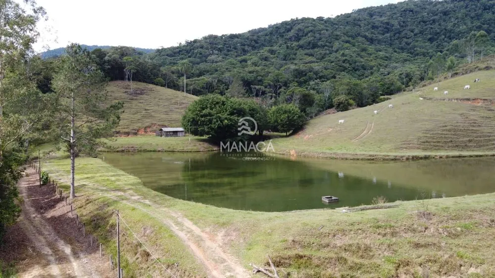 Terreno, 17 hectares - Foto 3