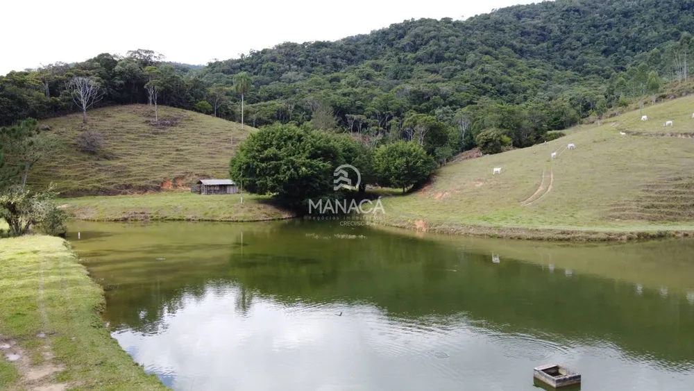 Terreno, 17 hectares - Foto 4