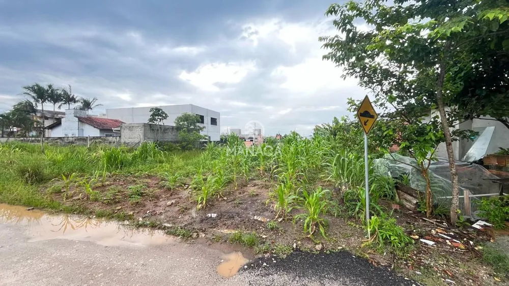Terreno, 269 m² - Foto 4