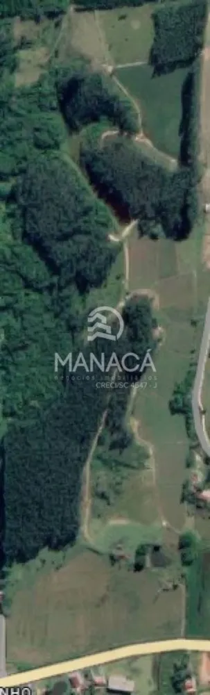 Terreno, 35 hectares - Foto 3