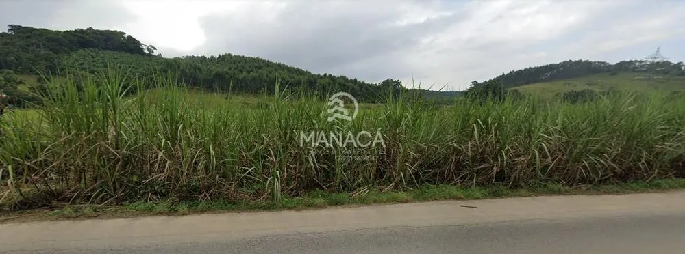 Terreno, 35 hectares - Foto 4
