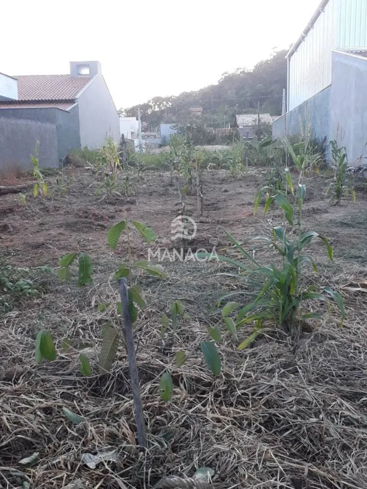 Terreno, 300 m² - Foto 1