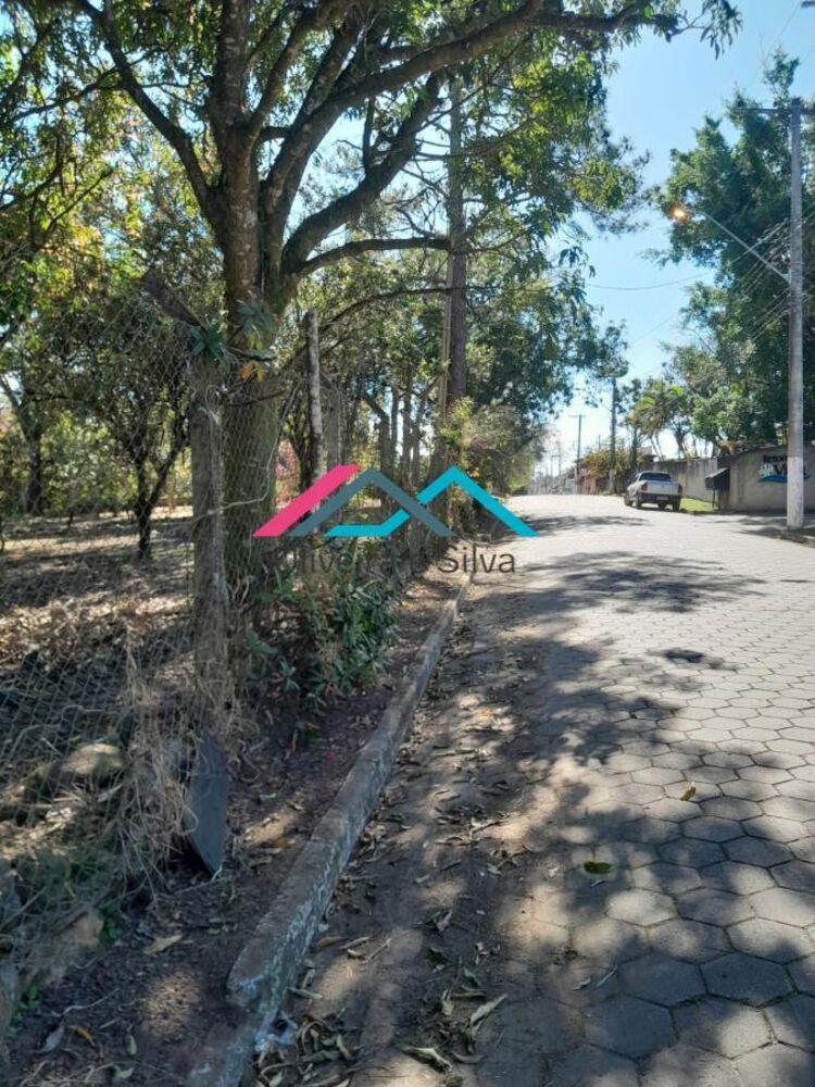 Chácara, 3 quartos, 5000 m² - Foto 4