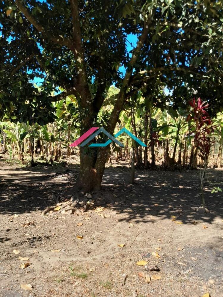 Chácara, 3 quartos, 5000 m² - Foto 16