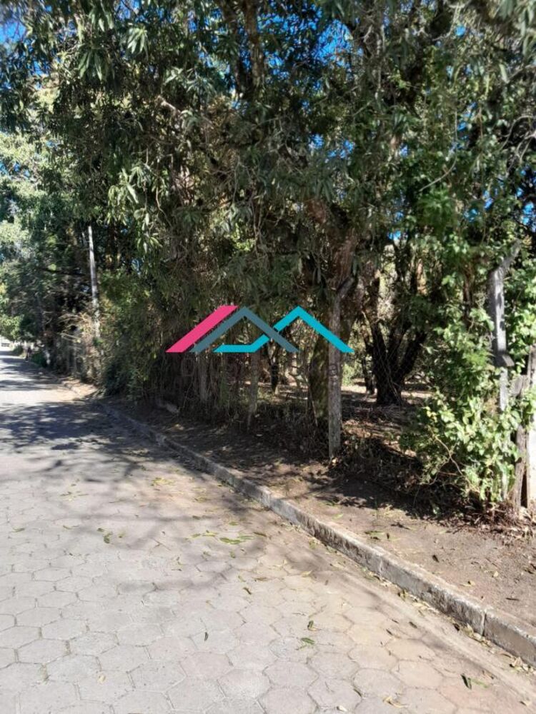 Chácara, 3 quartos, 5000 m² - Foto 3