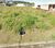 Terreno, 250 m² - Foto 1