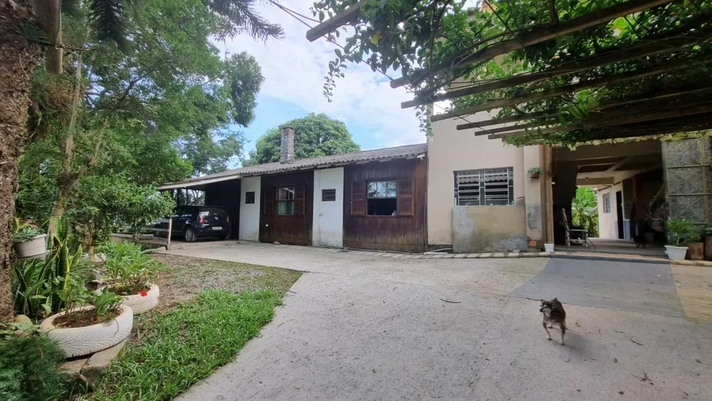 Chácara, 4 quartos, 2 hectares - Foto 10
