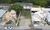 Terreno, 360 m² - Foto 5