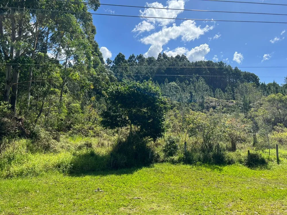 Terreno, 6010 m² - Foto 16