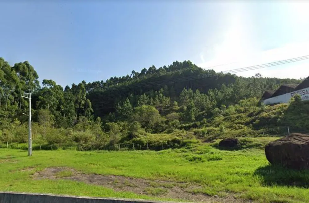 Terreno, 6010 m² - Foto 5