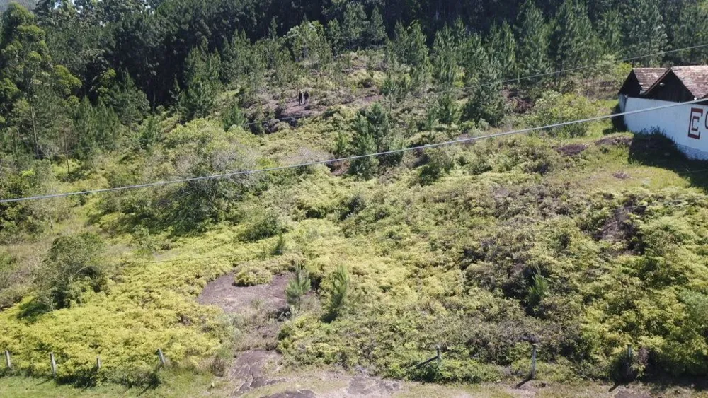 Terreno, 6010 m² - Foto 9