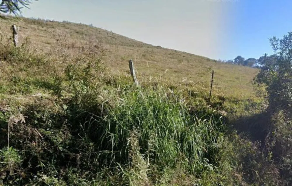 Terreno, 2 hectares - Foto 4