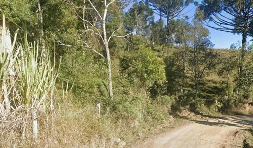 Terreno, 2 hectares - Foto 2