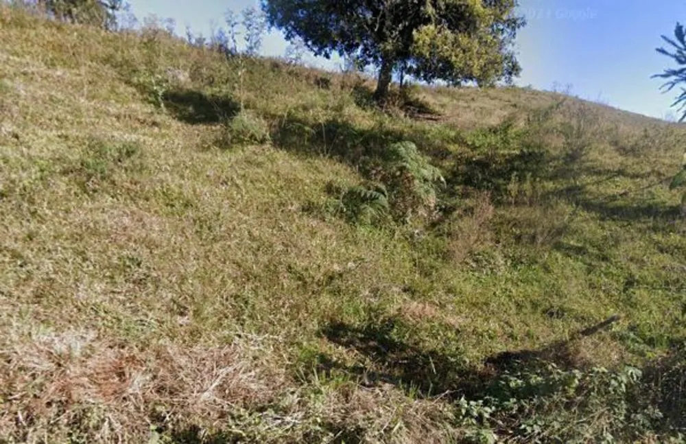 Terreno, 2 hectares - Foto 3