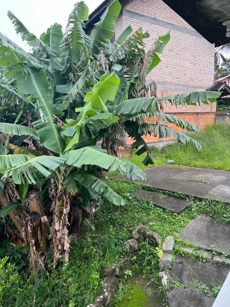 Casa à venda com 3 quartos, 90m² - Foto 3