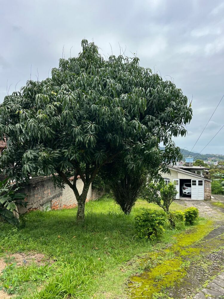 Casa à venda com 3 quartos, 90m² - Foto 20