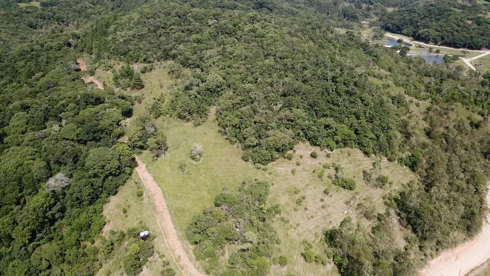 Sítio, 2 hectares - Foto 10