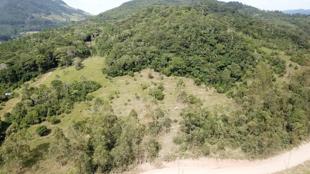 Sítio, 2 hectares - Foto 11