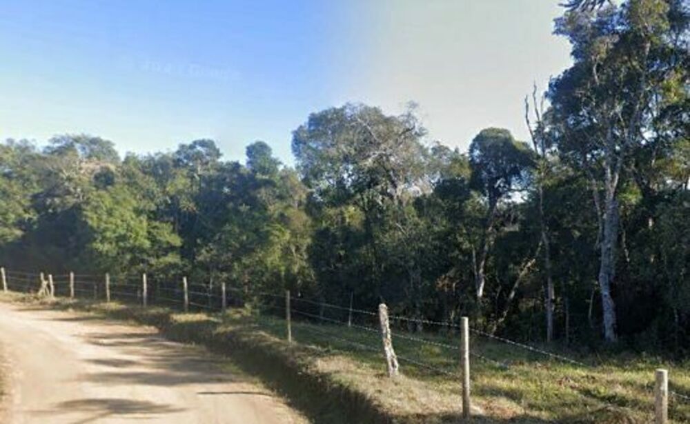 Terreno, 2 hectares - Foto 3