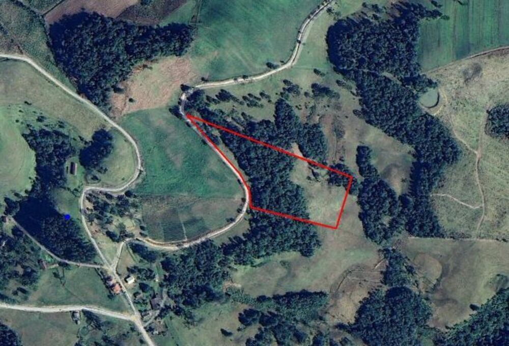 Terreno, 2 hectares - Foto 1