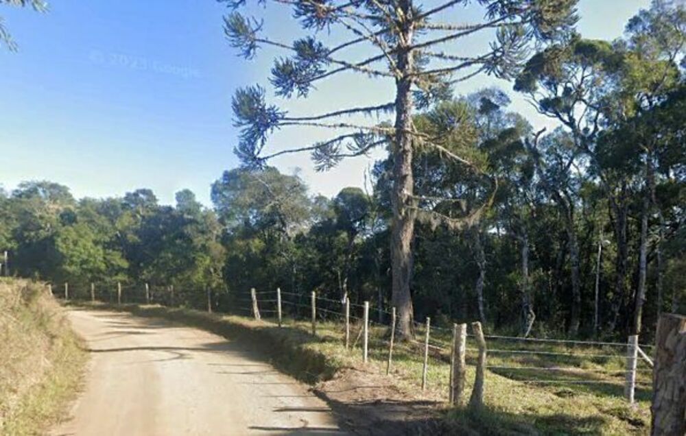 Terreno, 2 hectares - Foto 2