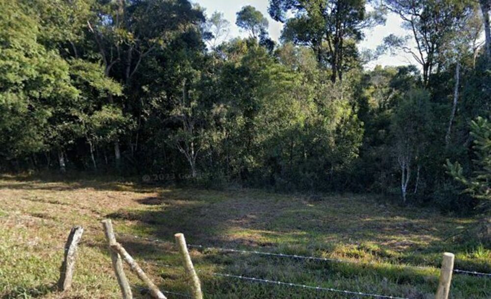 Terreno, 2 hectares - Foto 6