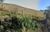 Terreno, 2 hectares - Foto 2