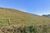 Terreno, 2 hectares - Foto 3