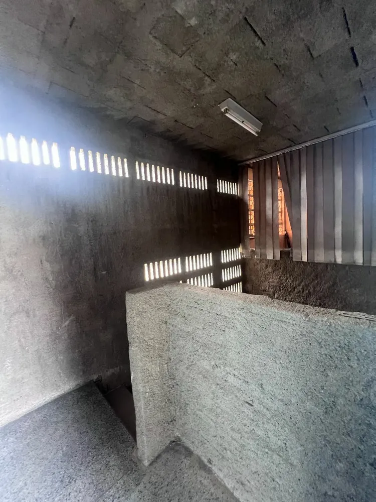 Casa, 3 quartos, 242 m² - Foto 11