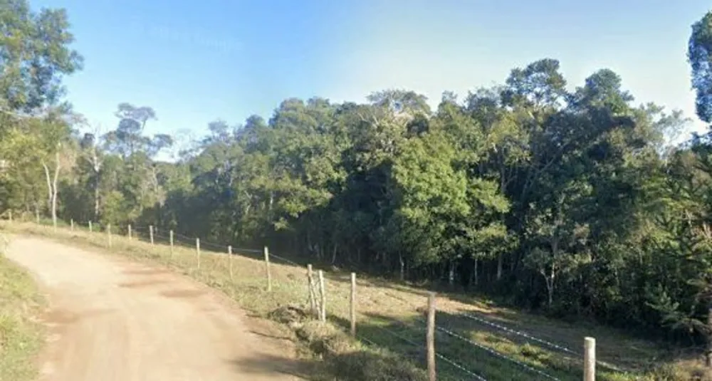 Terreno, 2 hectares - Foto 3