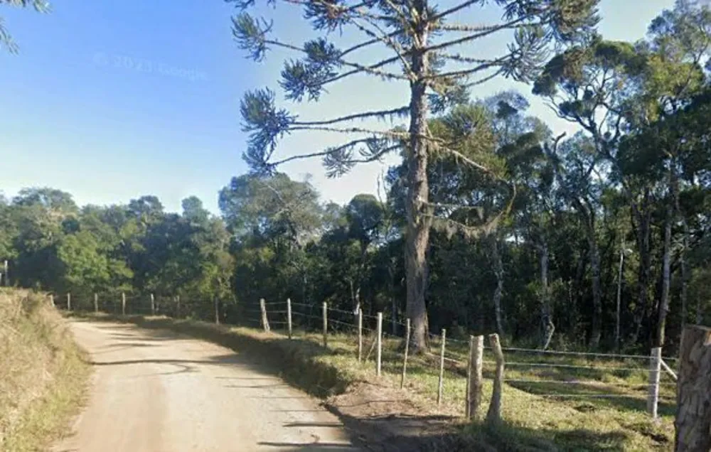 Terreno, 2 hectares - Foto 2