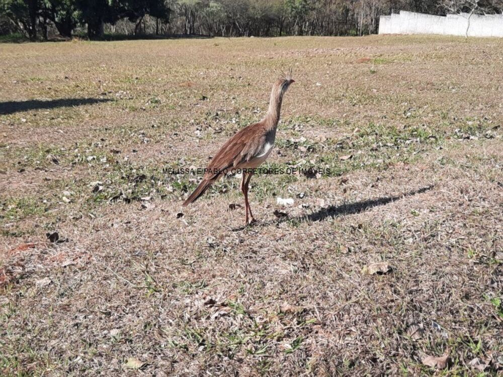 Terreno, 2000 m² - Foto 4