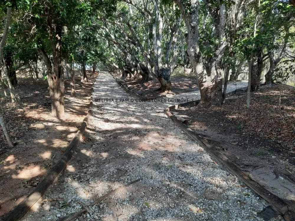 Terreno, 2000 m² - Foto 7