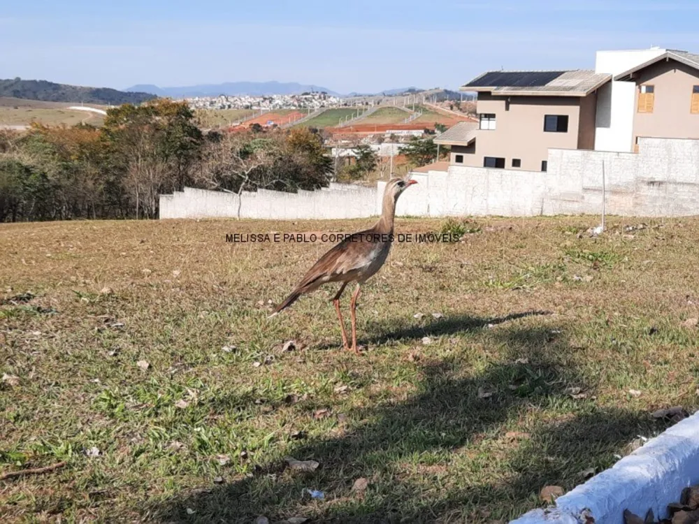 Terreno, 2000 m² - Foto 28