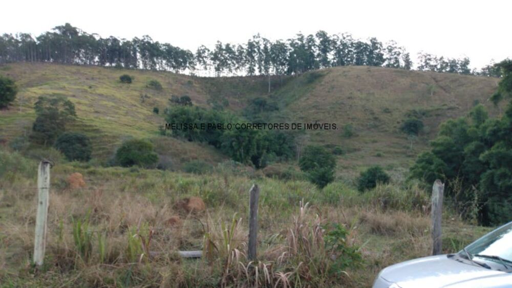 Sítio, 2 hectares - Foto 4