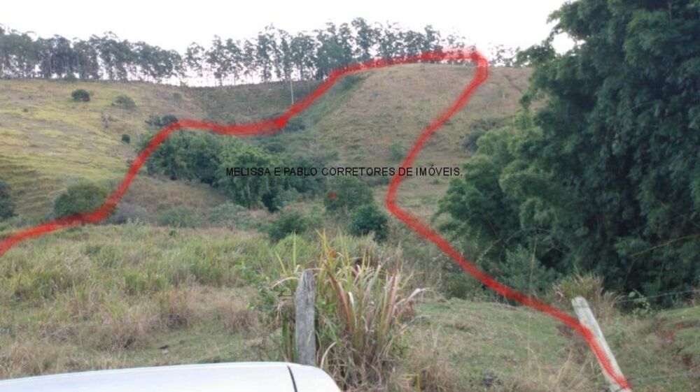 Sítio, 2 hectares - Foto 9