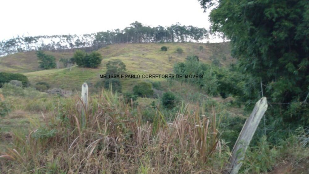 Sítio, 2 hectares - Foto 2