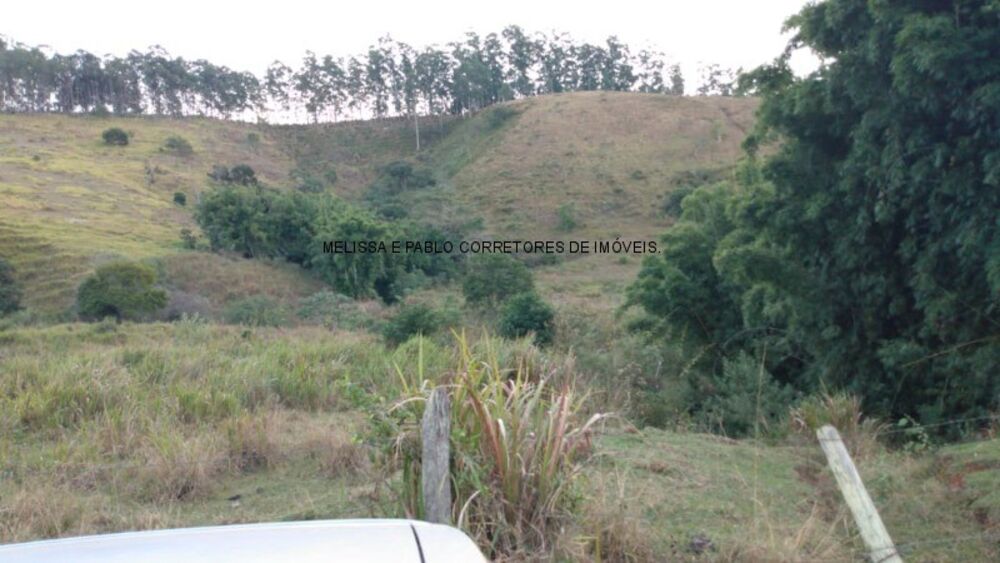 Sítio, 2 hectares - Foto 6