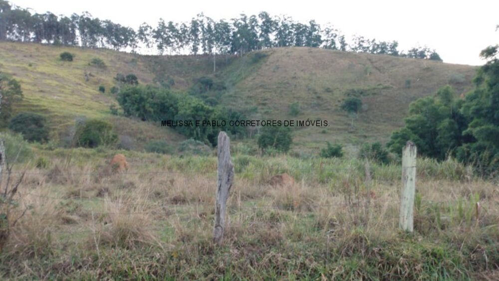 Sítio, 2 hectares - Foto 7