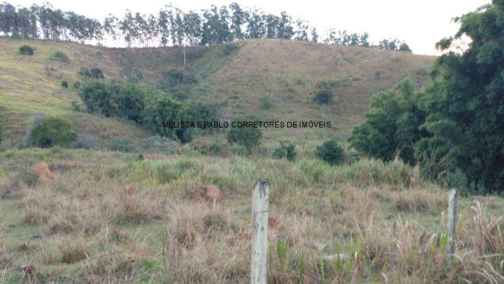 Sítio, 2 hectares - Foto 5