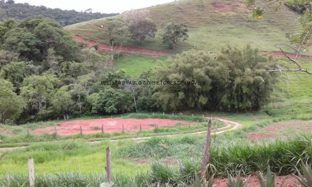 Sítio, 2 quartos, 156 m² - Foto 2