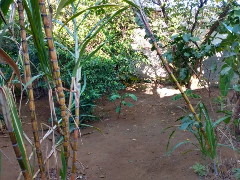 Terreno, 300 m² - Foto 11