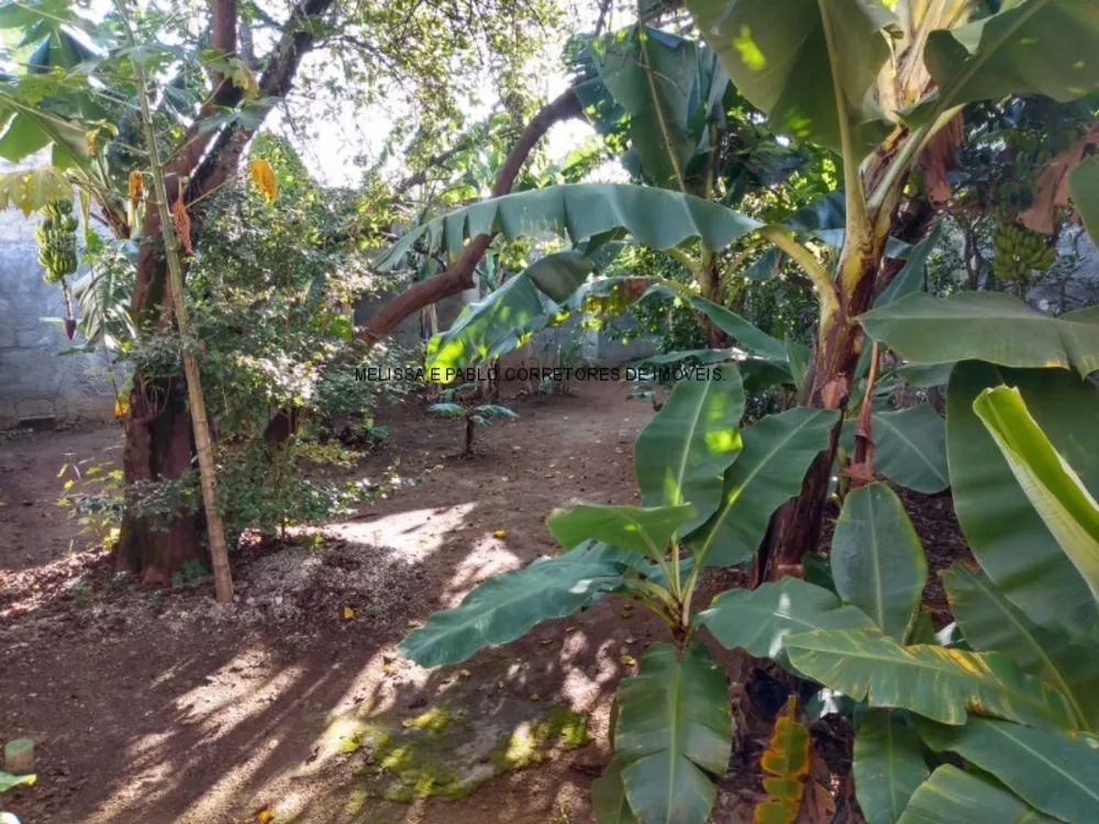 Terreno, 300 m² - Foto 12
