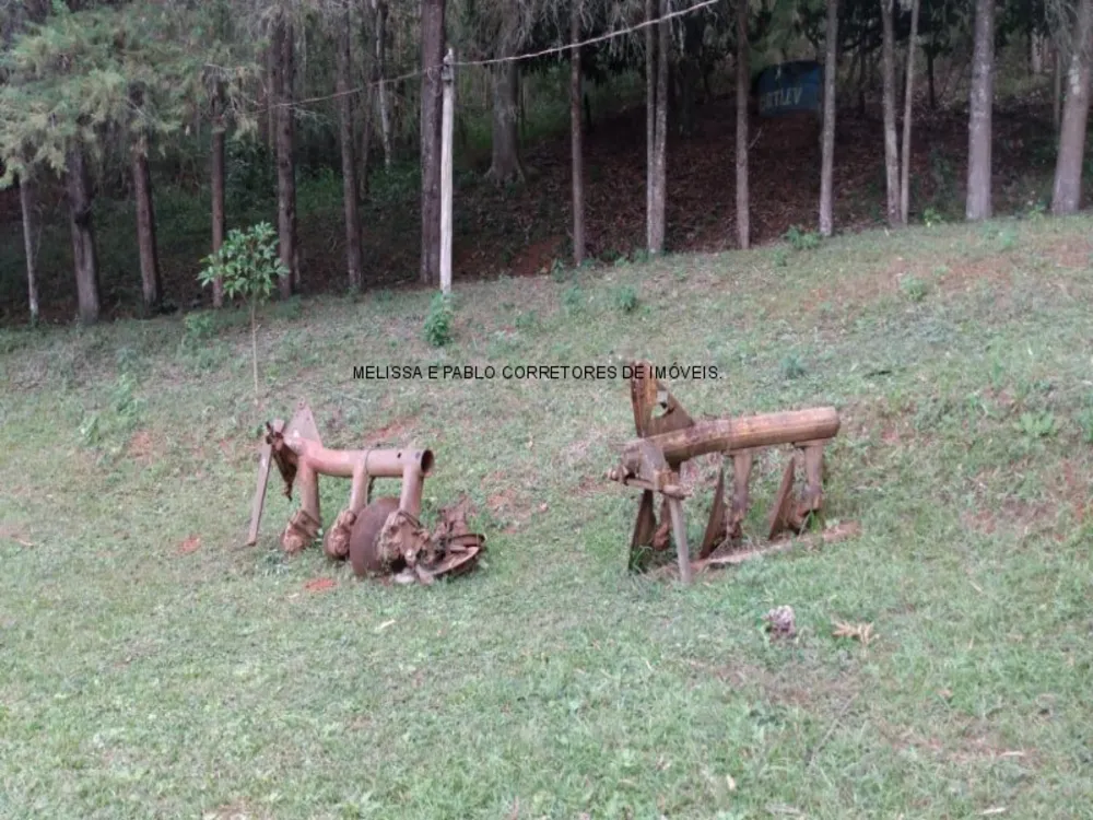 Fazenda - Foto 16