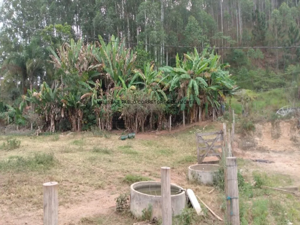 Fazenda - Foto 11