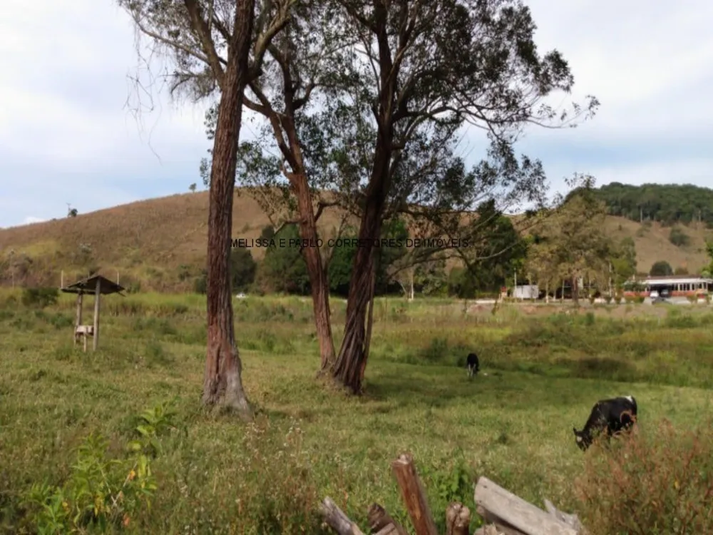 Fazenda - Foto 6
