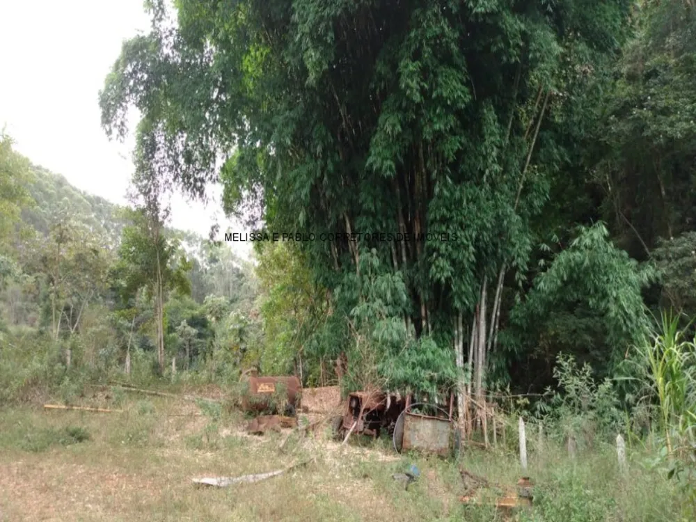 Fazenda - Foto 7