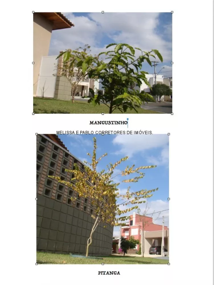 Casa, 2 quartos, 230 m² - Foto 1