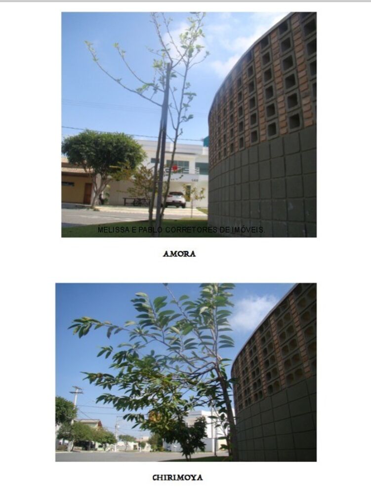 Casa à venda com 2 quartos, 230m² - Foto 5